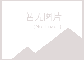 台山山柏工程有限公司